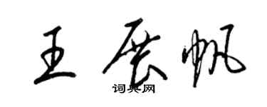 梁锦英王展帆草书个性签名怎么写