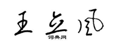 梁锦英王立风草书个性签名怎么写