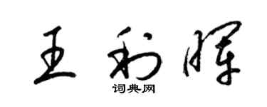 梁锦英王利晖草书个性签名怎么写