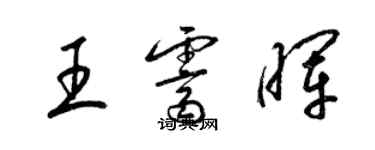 梁锦英王霁晖草书个性签名怎么写