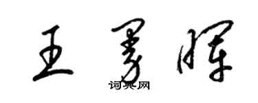 梁锦英王曼晖草书个性签名怎么写