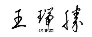 梁锦英王瑞胜草书个性签名怎么写