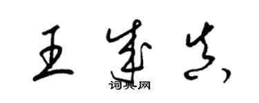 梁锦英王成真草书个性签名怎么写