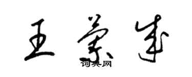 梁锦英王兰成草书个性签名怎么写
