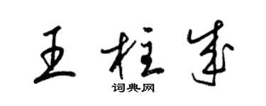 梁锦英王柱成草书个性签名怎么写