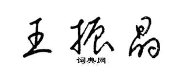 梁锦英王振晶草书个性签名怎么写