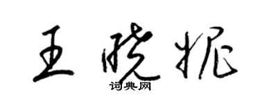 梁锦英王晓妮草书个性签名怎么写
