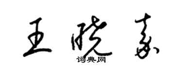 梁锦英王晓嘉草书个性签名怎么写
