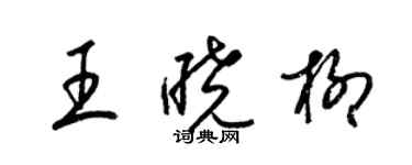 梁锦英王晓柳草书个性签名怎么写