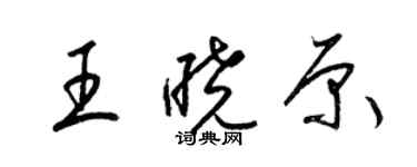 梁锦英王晓原草书个性签名怎么写