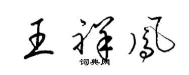 梁锦英王祥凤草书个性签名怎么写