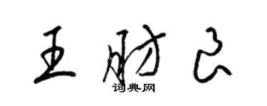 梁锦英王肪良草书个性签名怎么写