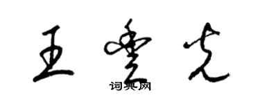 梁锦英王丰光草书个性签名怎么写