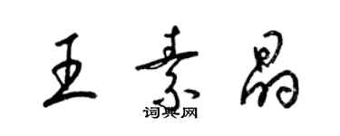 梁锦英王素晶草书个性签名怎么写