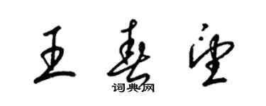 梁锦英王春望草书个性签名怎么写