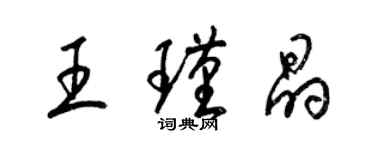 梁锦英王瑾晶草书个性签名怎么写