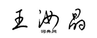 梁锦英王汝晶草书个性签名怎么写