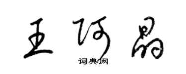 梁锦英王阿晶草书个性签名怎么写