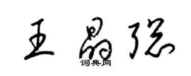 梁锦英王晶聪草书个性签名怎么写