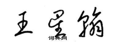 梁锦英王星翰草书个性签名怎么写
