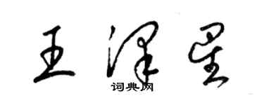 梁锦英王泽星草书个性签名怎么写