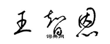 梁锦英王智恩草书个性签名怎么写