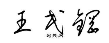 梁锦英王民钢草书个性签名怎么写