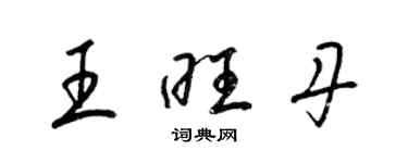 梁锦英王旺丹草书个性签名怎么写