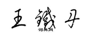 梁锦英王铁丹草书个性签名怎么写