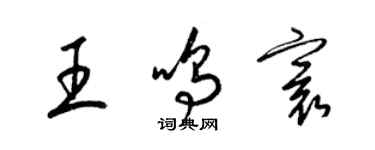 梁锦英王鸣寰草书个性签名怎么写