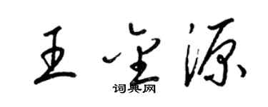 梁锦英王金源草书个性签名怎么写
