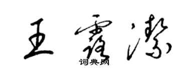 梁锦英王露洁草书个性签名怎么写