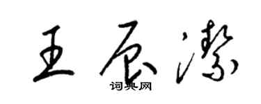 梁锦英王辰洁草书个性签名怎么写
