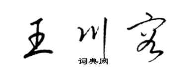 梁锦英王川容草书个性签名怎么写