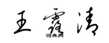 梁锦英王露清草书个性签名怎么写