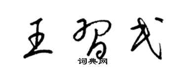 梁锦英王习民草书个性签名怎么写