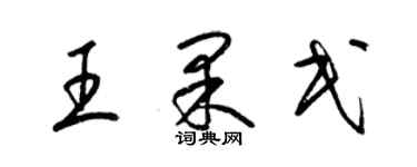 梁锦英王果民草书个性签名怎么写