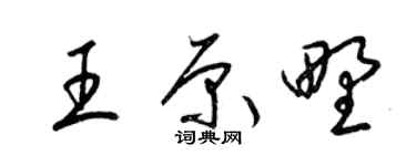梁锦英王原野草书个性签名怎么写
