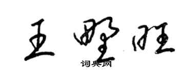 梁锦英王野旺草书个性签名怎么写