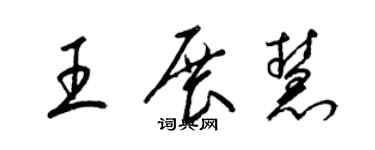 梁锦英王展慧草书个性签名怎么写