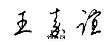梁锦英王嘉谊草书个性签名怎么写