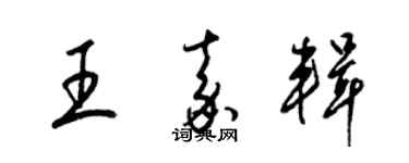 梁锦英王嘉辑草书个性签名怎么写