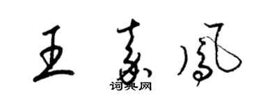 梁锦英王嘉凤草书个性签名怎么写