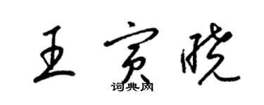 梁锦英王寅晓草书个性签名怎么写
