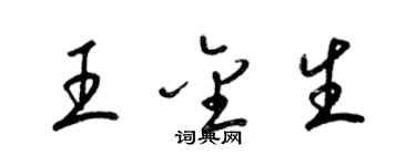 梁锦英王金生草书个性签名怎么写