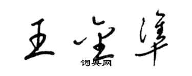 梁锦英王金准草书个性签名怎么写
