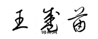 梁锦英王盛苗草书个性签名怎么写