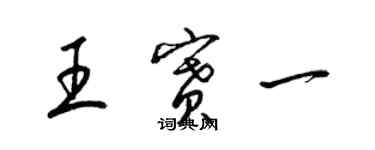 梁锦英王赛一草书个性签名怎么写