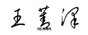 梁锦英王菁泽草书个性签名怎么写