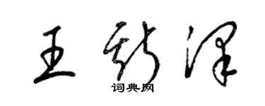 梁锦英王斯泽草书个性签名怎么写